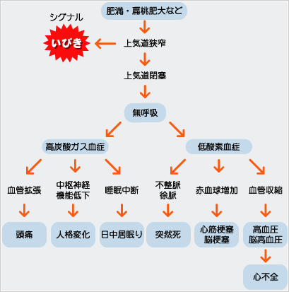 睡眠時無呼吸症候群 医療法人 七仁会 田園調布中央病院
